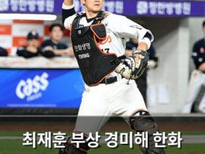 최재훈 부상 경미해 한화 팬들 안심?