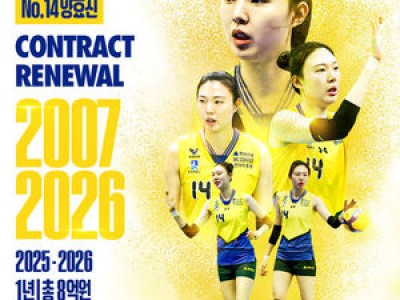 양효진 현대건설 재계약 확정 팬들 환호