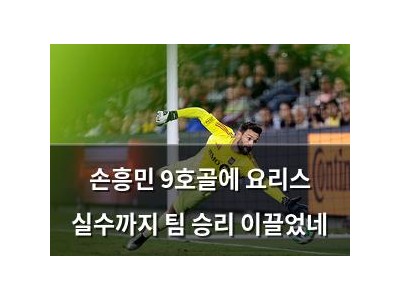 손흥민 9호골에 요리스 실수까지 팀 승리 이끌었네