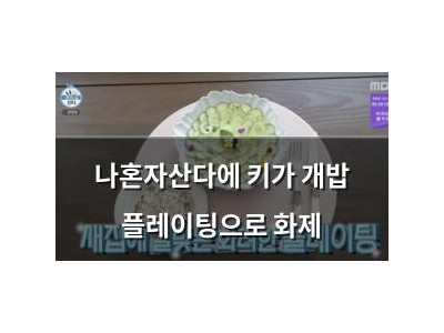 나혼자산다에 키가 개밥 플레이팅으로 화제