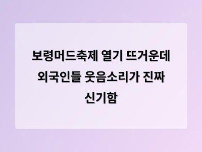 보령머드축제 외국인 관광객이 몰리는 이유는 머드 체험과 따뜻한 지역 분위기 때문