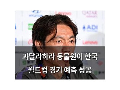 과달라하라 동물원이 한국 월드컵 경기 예측 성공