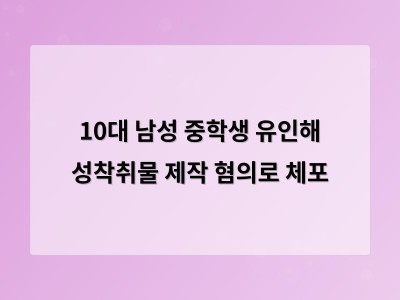 10대 남성 두 명이 중학생을 유인해 성착취물 제작 혐의로 체포됨